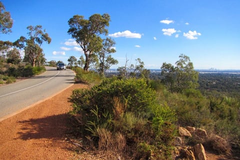 a car driving down a dirt road with trees on either side at zigzag drive in Perth Australia while doing karaoke in tesla car